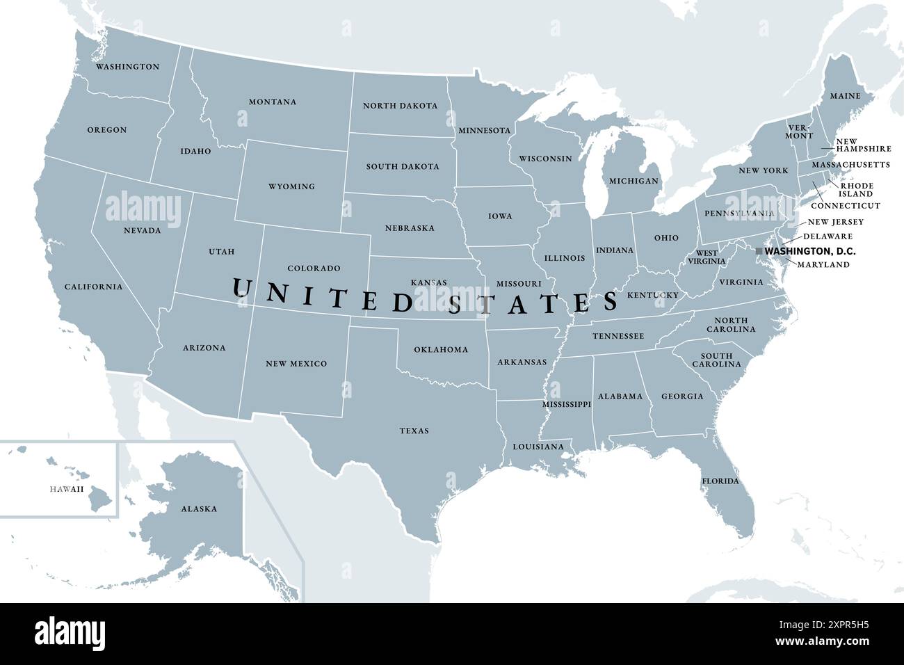 Stati Uniti d'America, mappa politica grigia. Cinquanta singoli stati con i propri territori geografici e confini, legati insieme in un'Unione. Foto Stock