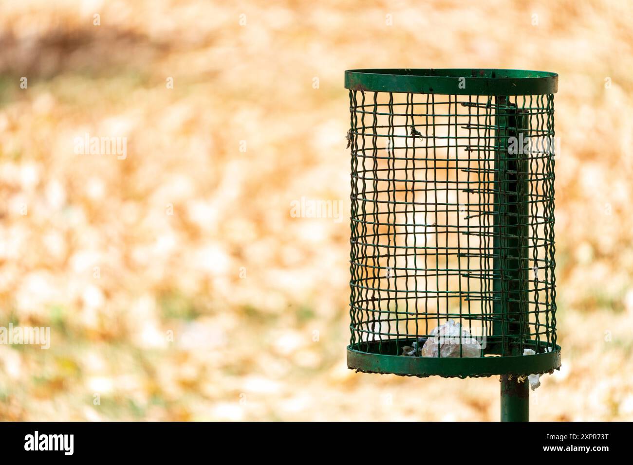 Cestino Metal Green nel parco: Sfondo dorato sfocato di foglie cadute - caricamento prossima stagione, concetto di ecologia. Foto Stock