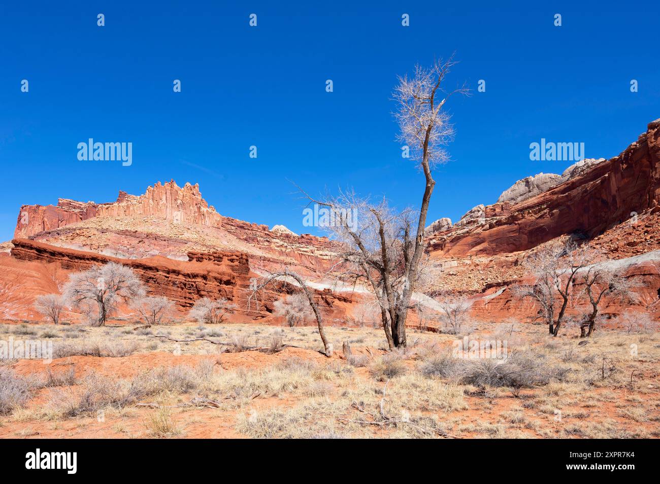 Capitol Reef National Park con la montagna Castle, Utah, USA, Stati Uniti Foto Stock