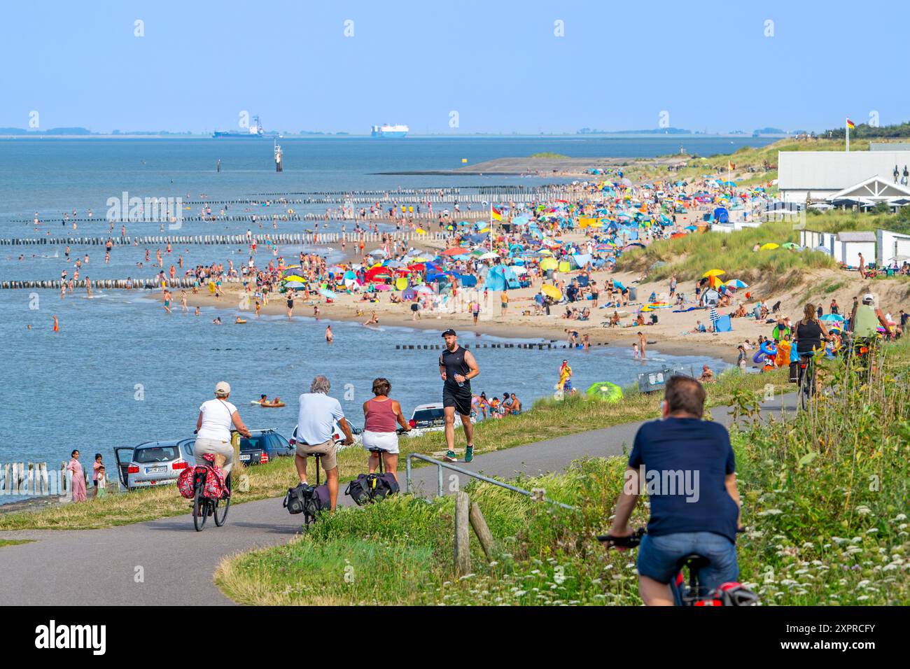 Ciclisti e turisti che nuotano e prendono il sole sulla spiaggia lungo la Westerschelde a Breskens in una giornata calda durante le vacanze estive, Zelanda, Paesi Bassi Foto Stock
