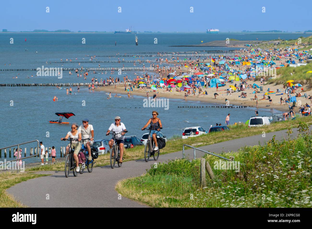 Ciclisti e turisti che nuotano e prendono il sole sulla spiaggia lungo la Westerschelde a Breskens in una giornata calda durante le vacanze estive, Zelanda, Paesi Bassi Foto Stock
