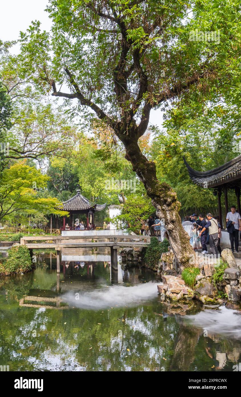 Albero allo stagno nell'umile giardino degli amministratori di Suzhou, in Cina Foto Stock