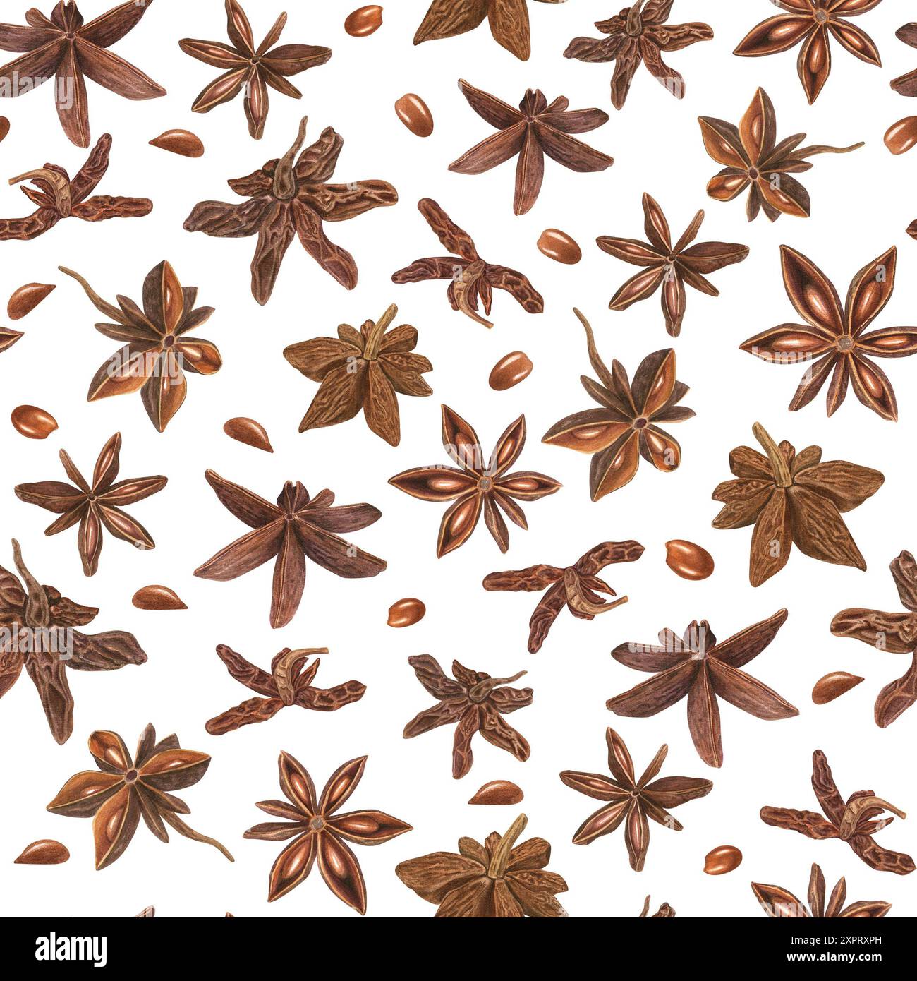 Semi di anice stellato. Modello badiano senza cuciture. Alimenti dal delicato aroma speziato per cucinare. Illustrazione botanica acquerello. Per la decorazione del menu Foto Stock