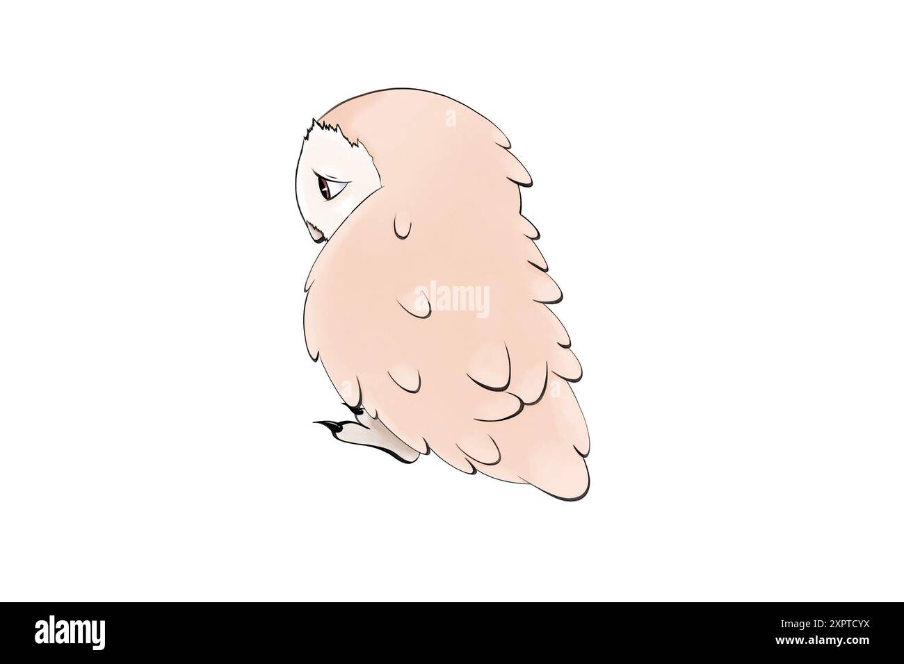 Illustrazione di un triste Barn Owl Foto Stock