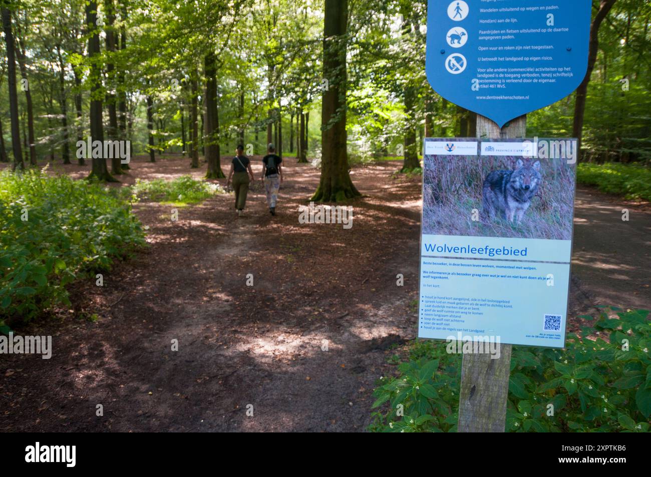 Woudenberg, Paesi Bassi.8 agosto 2024.i cartelli di avvertimento su come gestire un incontro con i lupi sono collocati agli ingressi della tenuta naturale "Den Treek". Gran parte è ora chiusa al pubblico dopo un altro incidente con i camminatori e un lupo. Credito: Pmvfoto/Alamy Live News Foto Stock