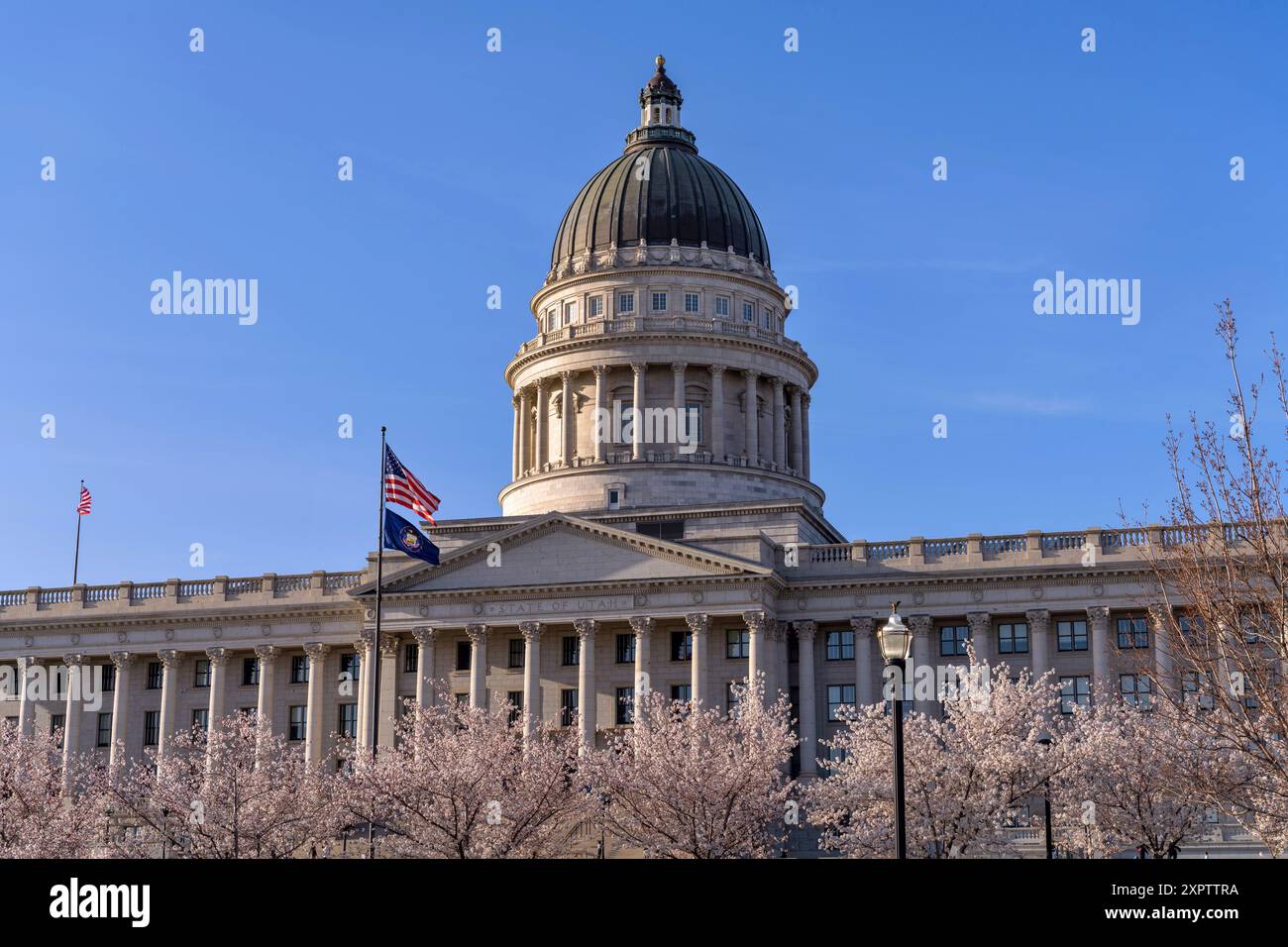 Utah State Capitol - Vista serale primaverile del Campidoglio dello Utah, con bandiere nazionali e statali che volano davanti, circondate da ciliegi in fiore. Foto Stock