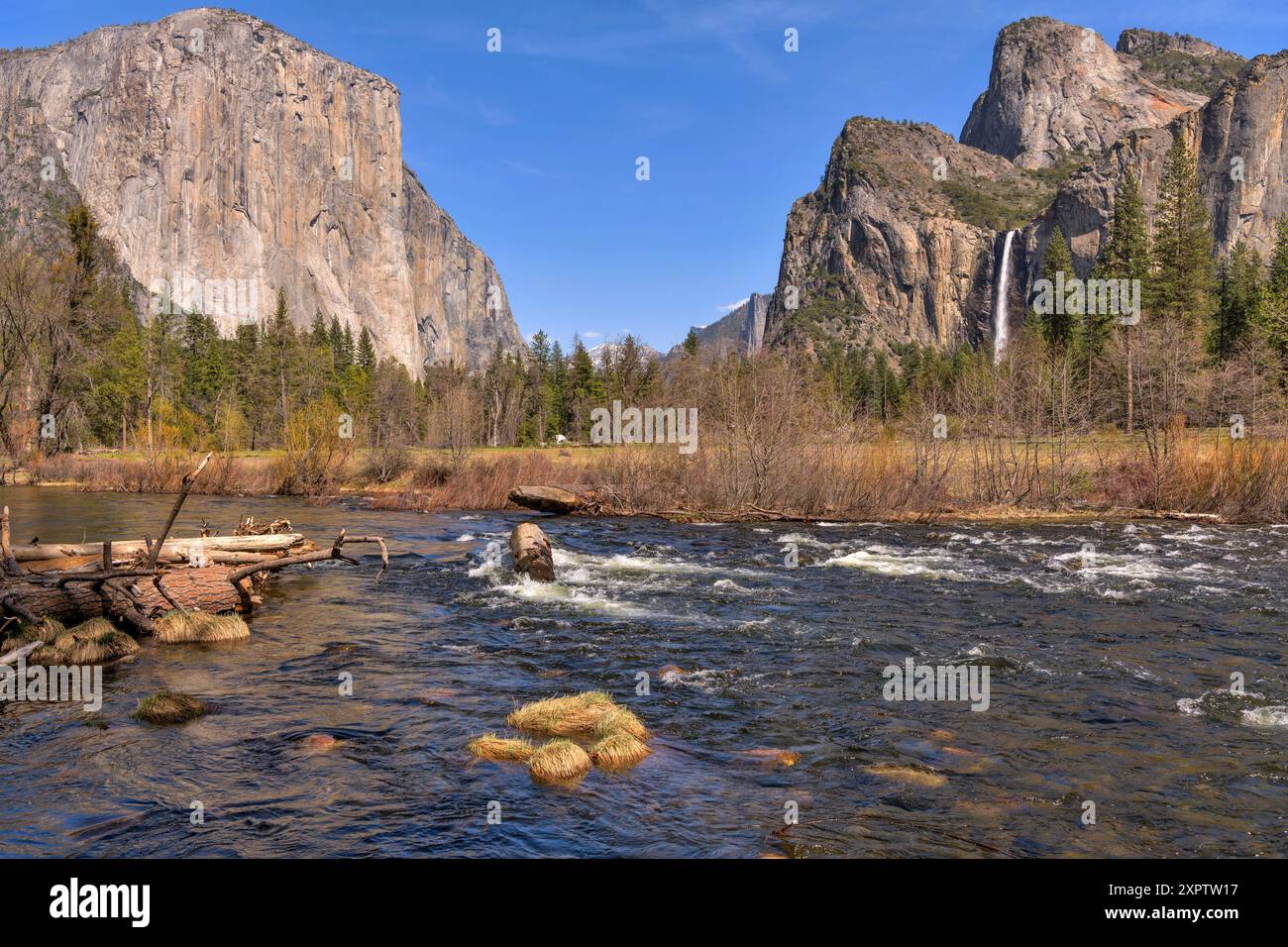 Merced River presso Yosemite Valley - Vista di primavera del Merced River che scorre nella Yosemite Valley, con El Capitan e le Bridalveil Falls che torreggiano sulla riva. Foto Stock