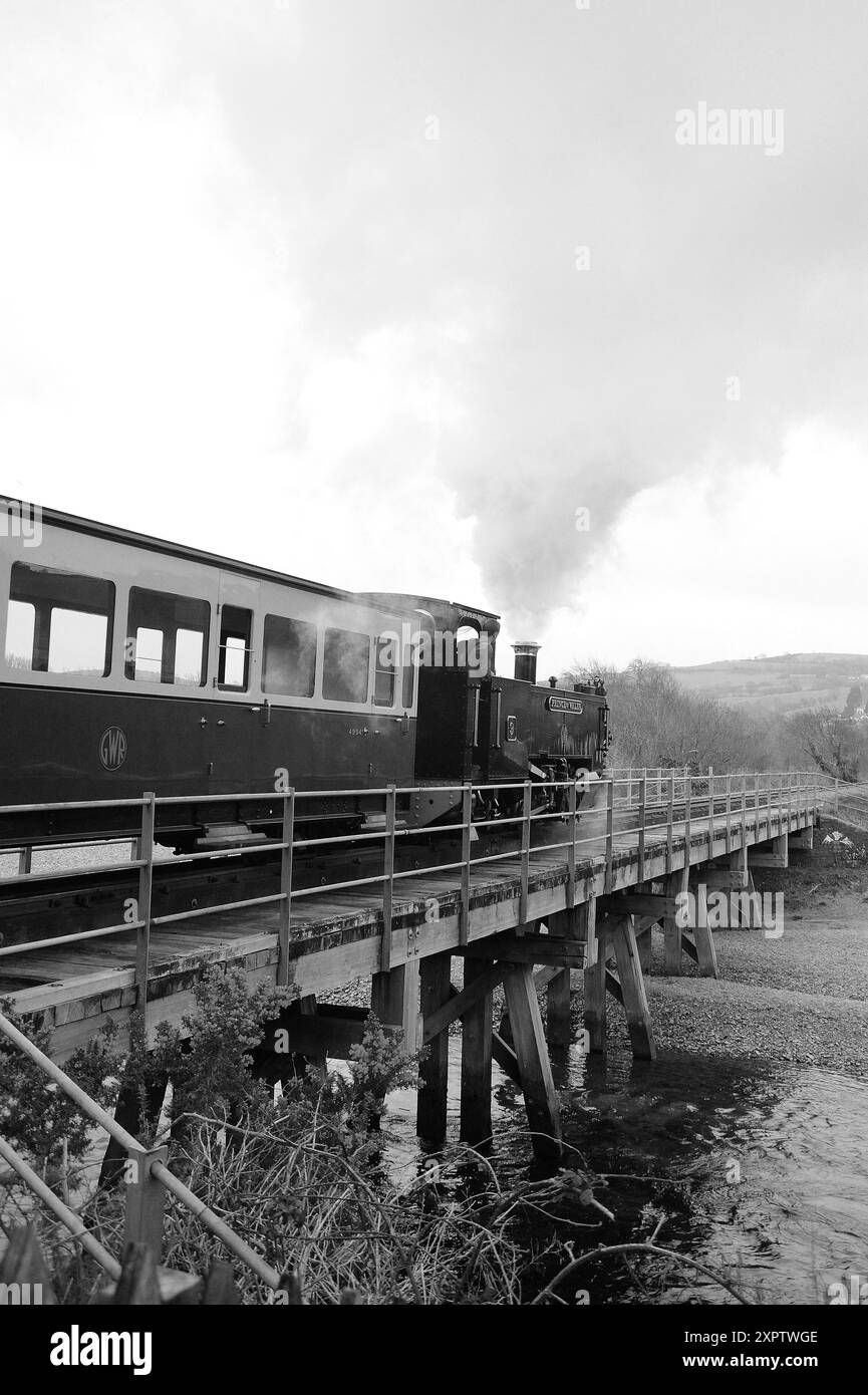"Prince of Wales" a Llanbadarn Fawr con un treno misto. Foto Stock