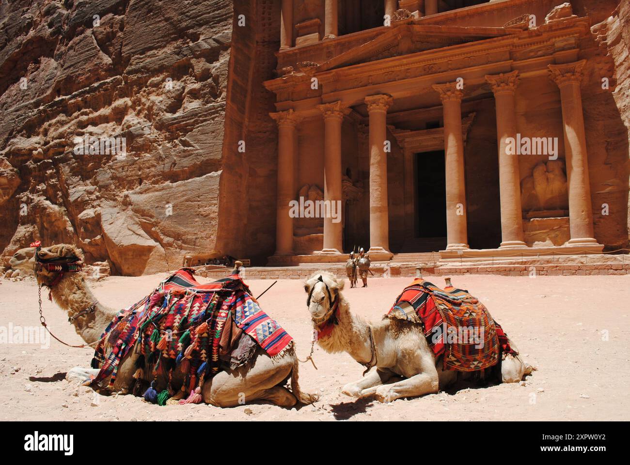 Due cammelli beduini riposano vicino al tesoro scavato nella roccia a Petra, in Giordania. Foto Stock