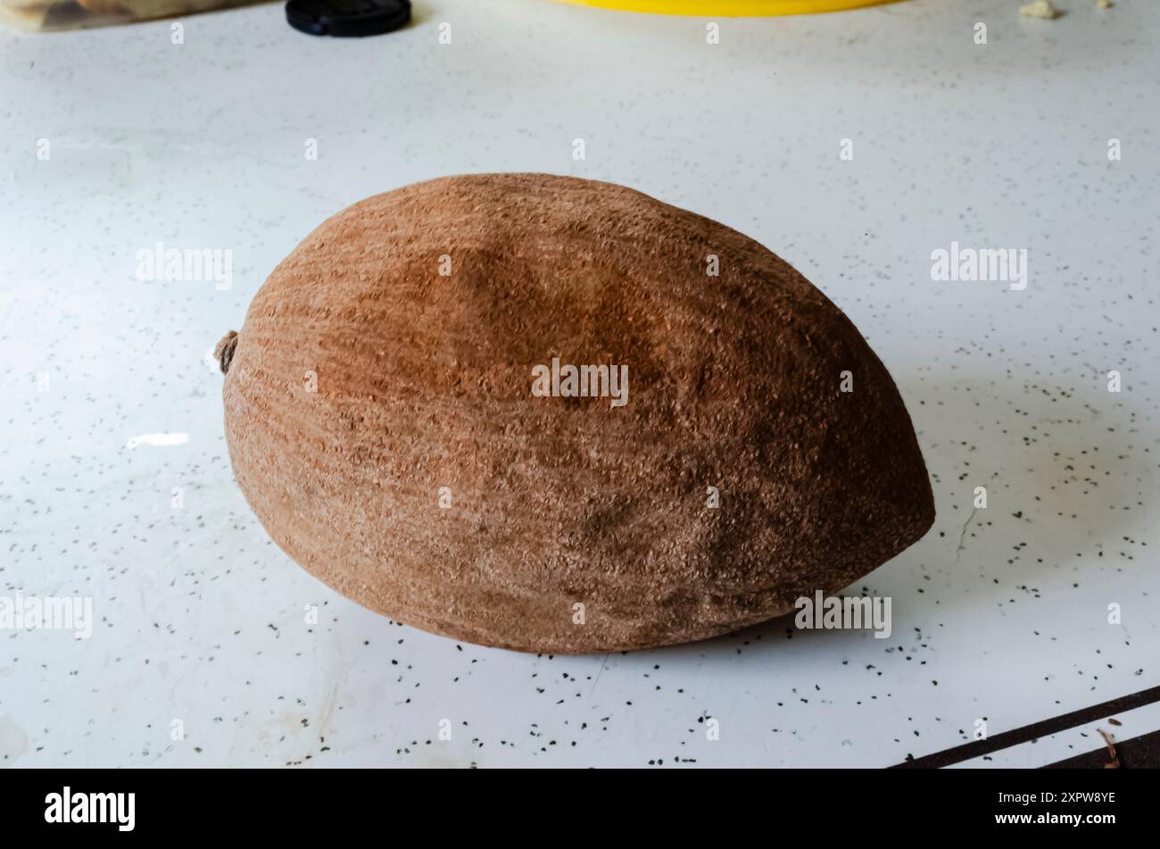 Ripe Mamey Zapote su un tavolo. Foto Stock