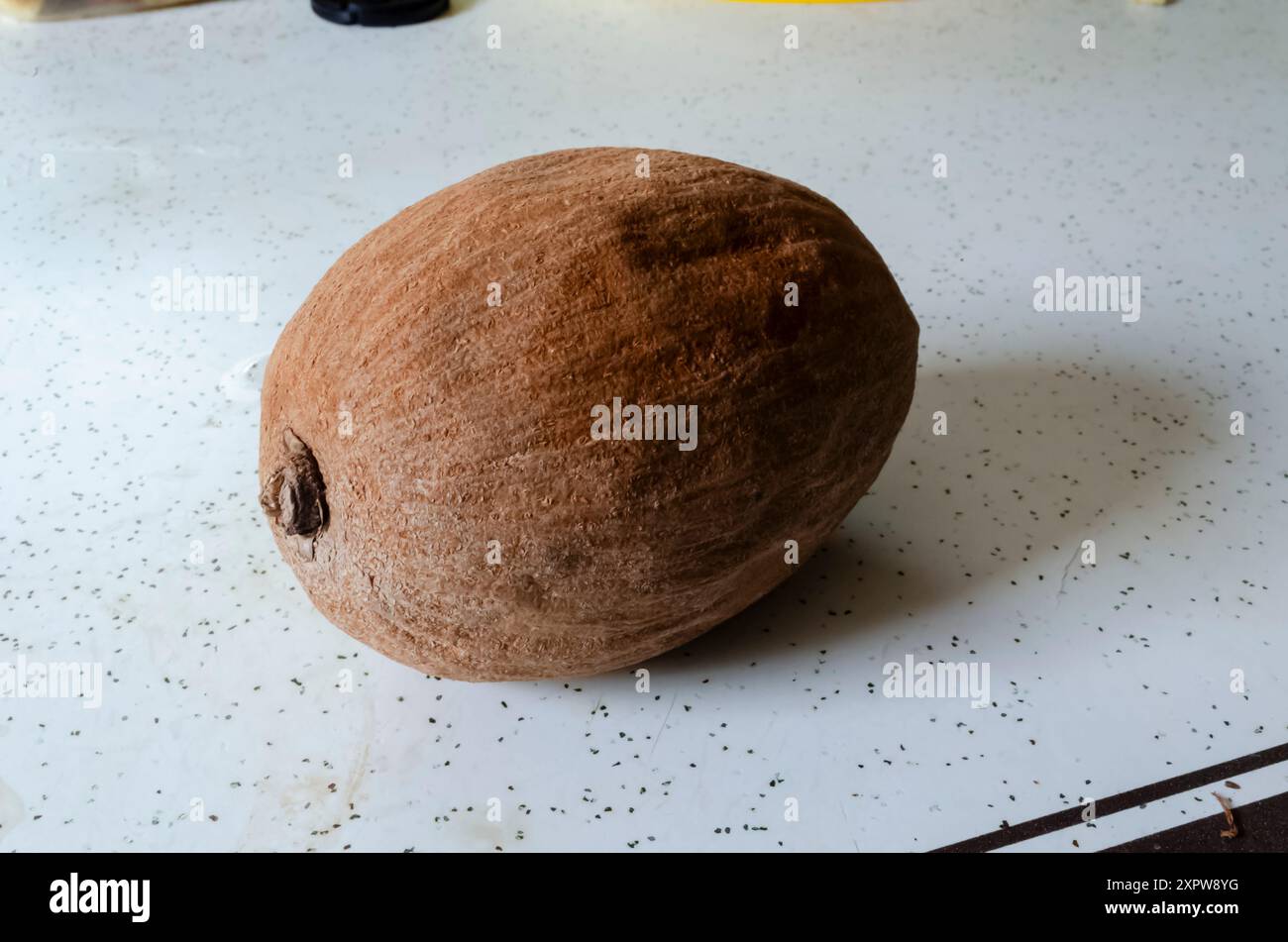 Tutto il Mamey Zapote maturo su un tavolo bianco maculato. Foto Stock