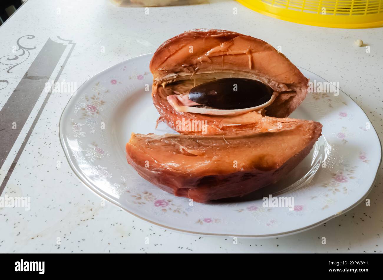 Il seme all'interno di un frutto di Mamey Zapote tagliato che cresce una radice. Foto Stock