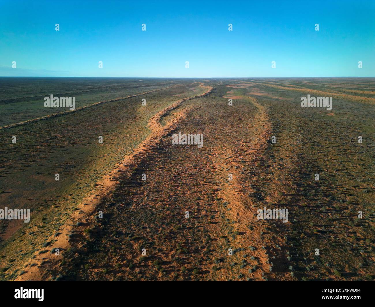 Dune parallele, deserto di Simpson, Outback South Australia, Australia Foto Stock