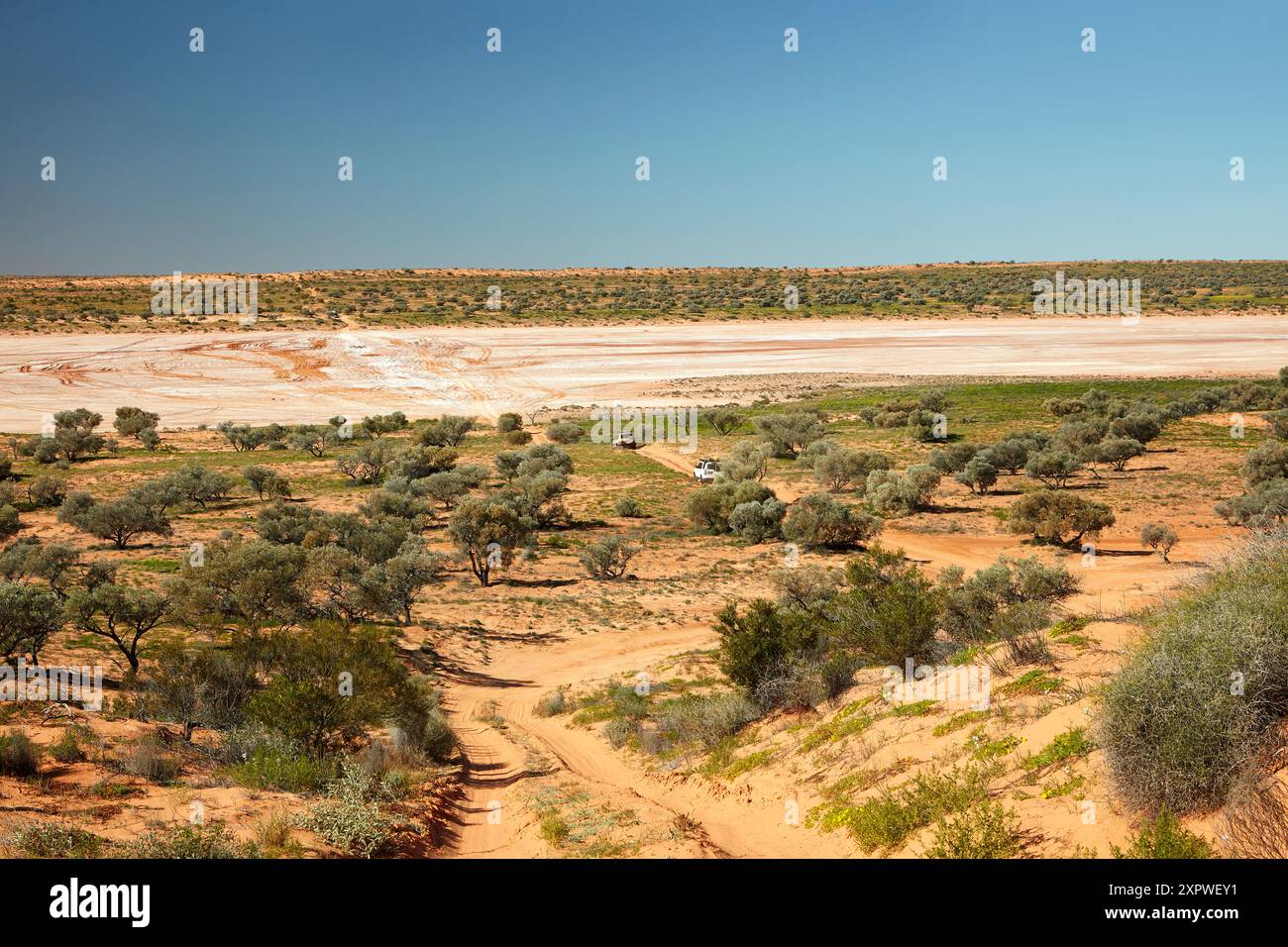 Salt Lake, French Line, Munga-Thirri-Simpson Desert National Park, Simpson Desert, Outback South Australia, Australia Foto Stock