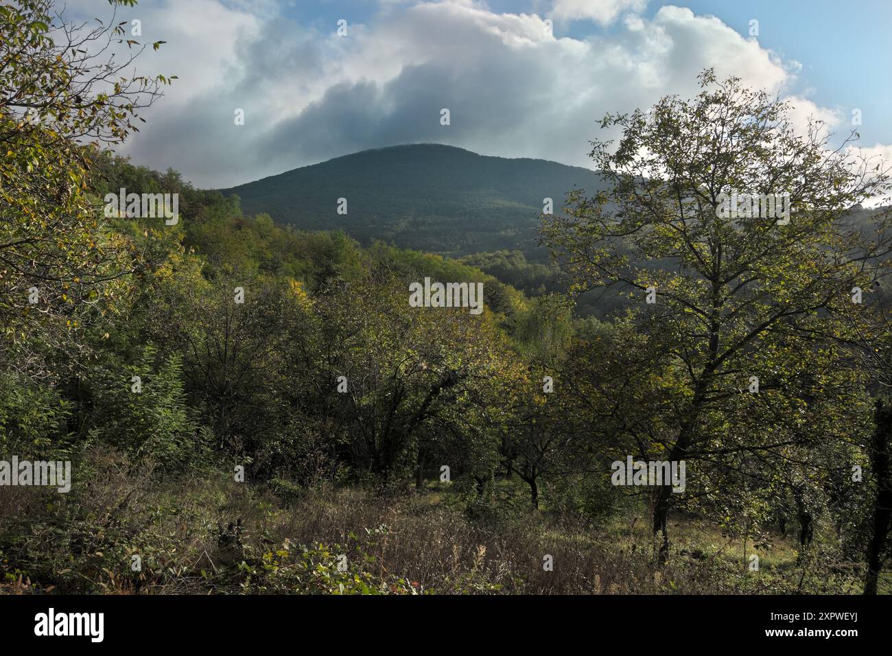Maltempo autunnale nella foresta mista che copre il monte Vujan, nella Serbia centrale Foto Stock