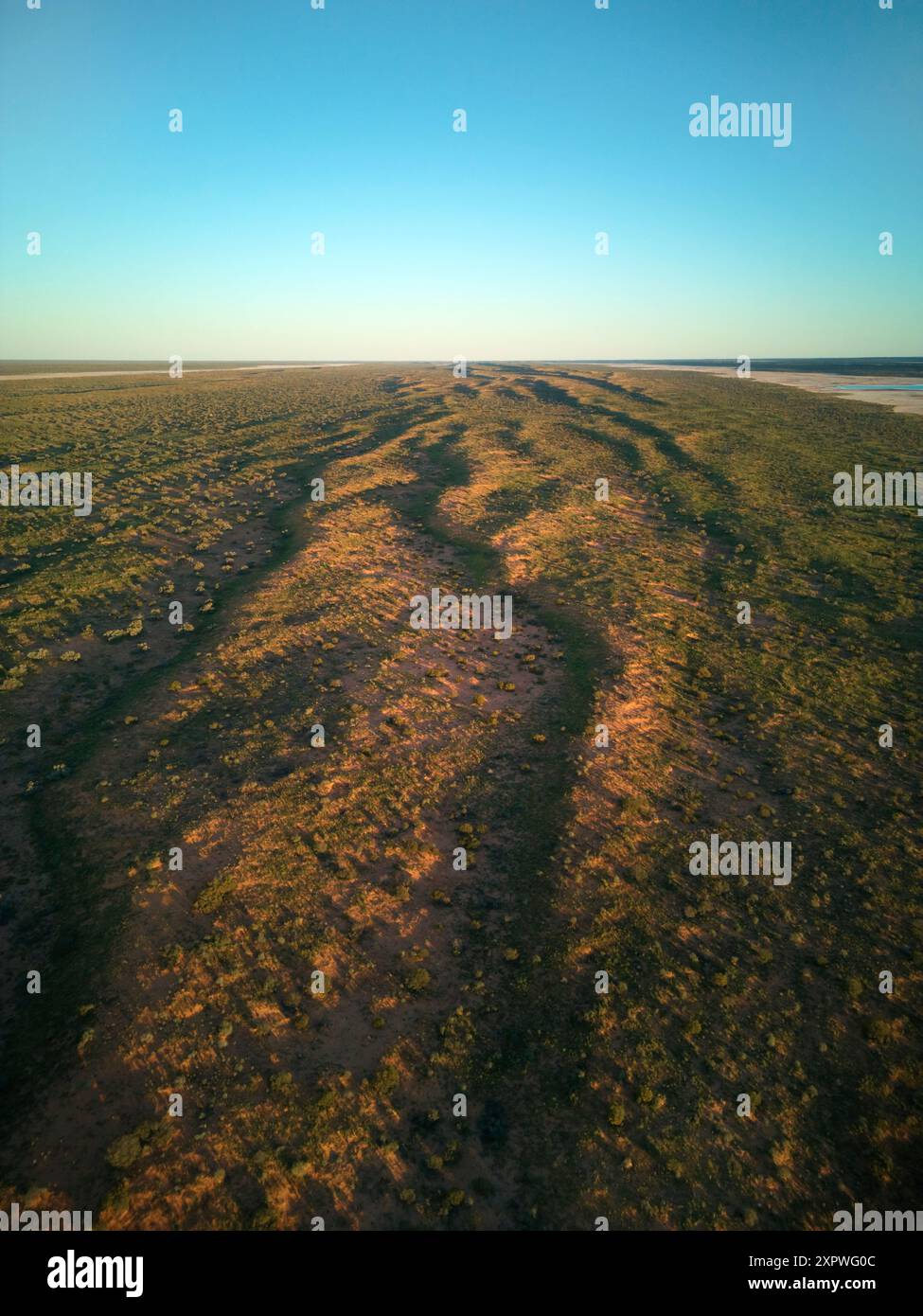 Simpson Desert, QAA Line, Munga-Thirri National Park, Outback Queensland, Australia Foto Stock