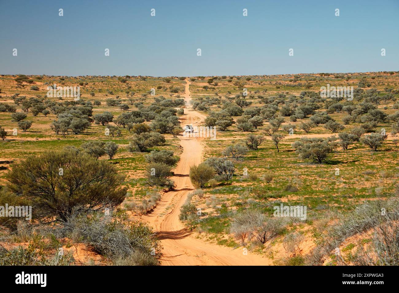 La pista della linea QAA, il Parco Nazionale Munga-Thirri, l'entroterra del deserto Simpson Queensland, Australia Foto Stock