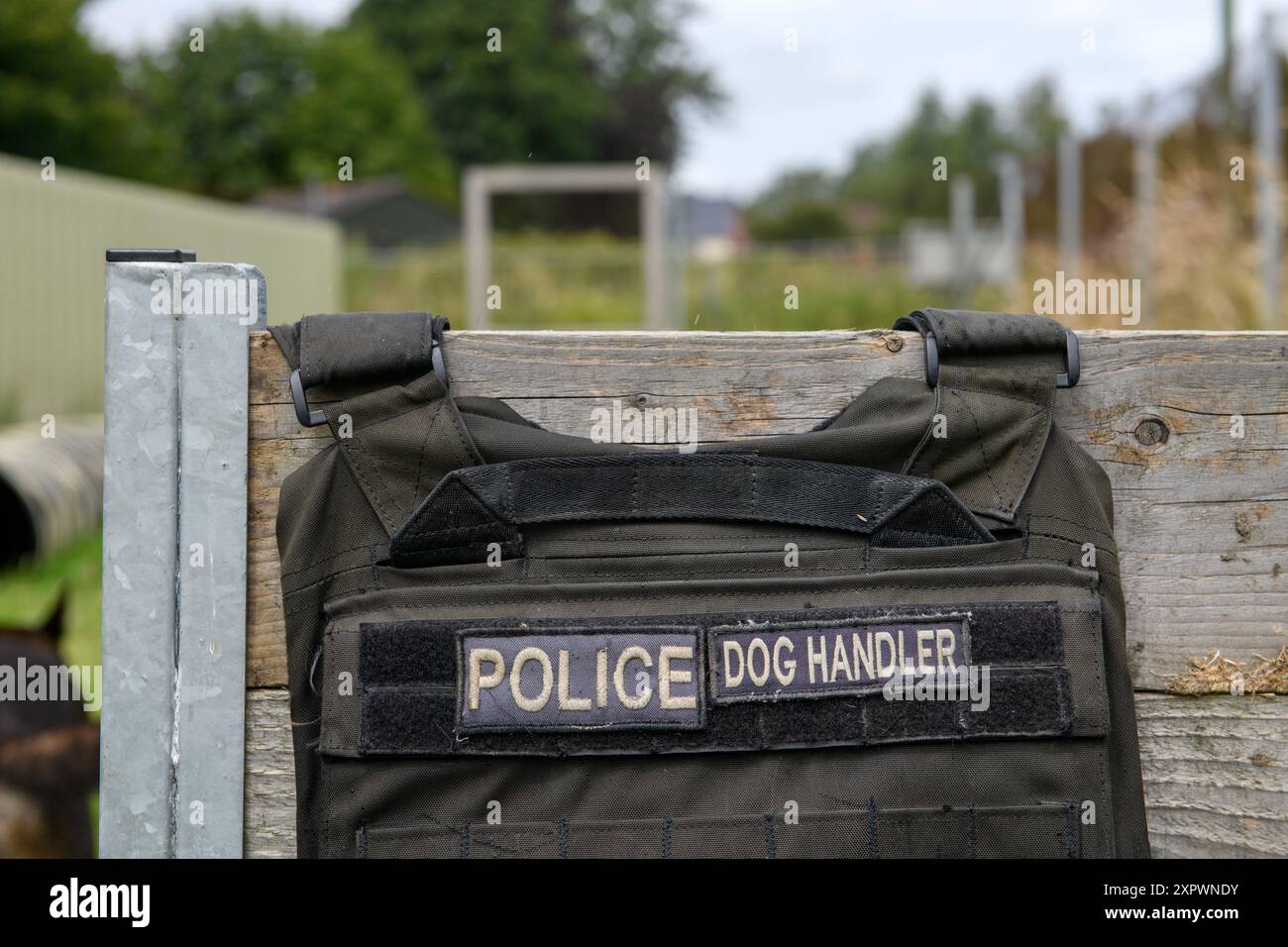Un giubbotto per cani della polizia, Regno Unito. Foto Stock