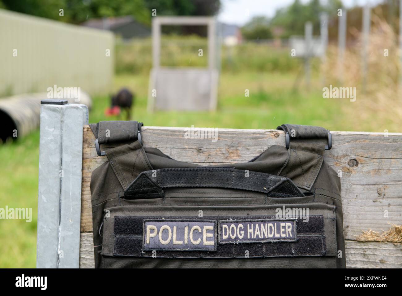 Un giubbotto per cani della polizia, Regno Unito. Foto Stock