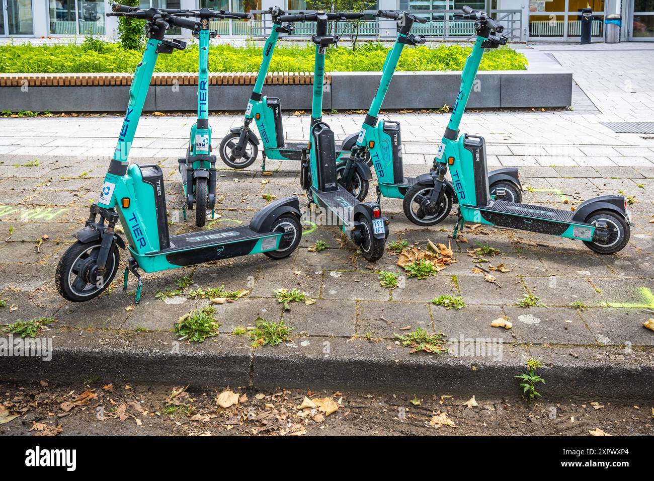 Ludwigshafen, Germania - 29 giugno 2024: Scooter elettrici a noleggio Tier parcheggiati di fronte all'edificio moderno della città, parco pubblico di noleggio Foto Stock