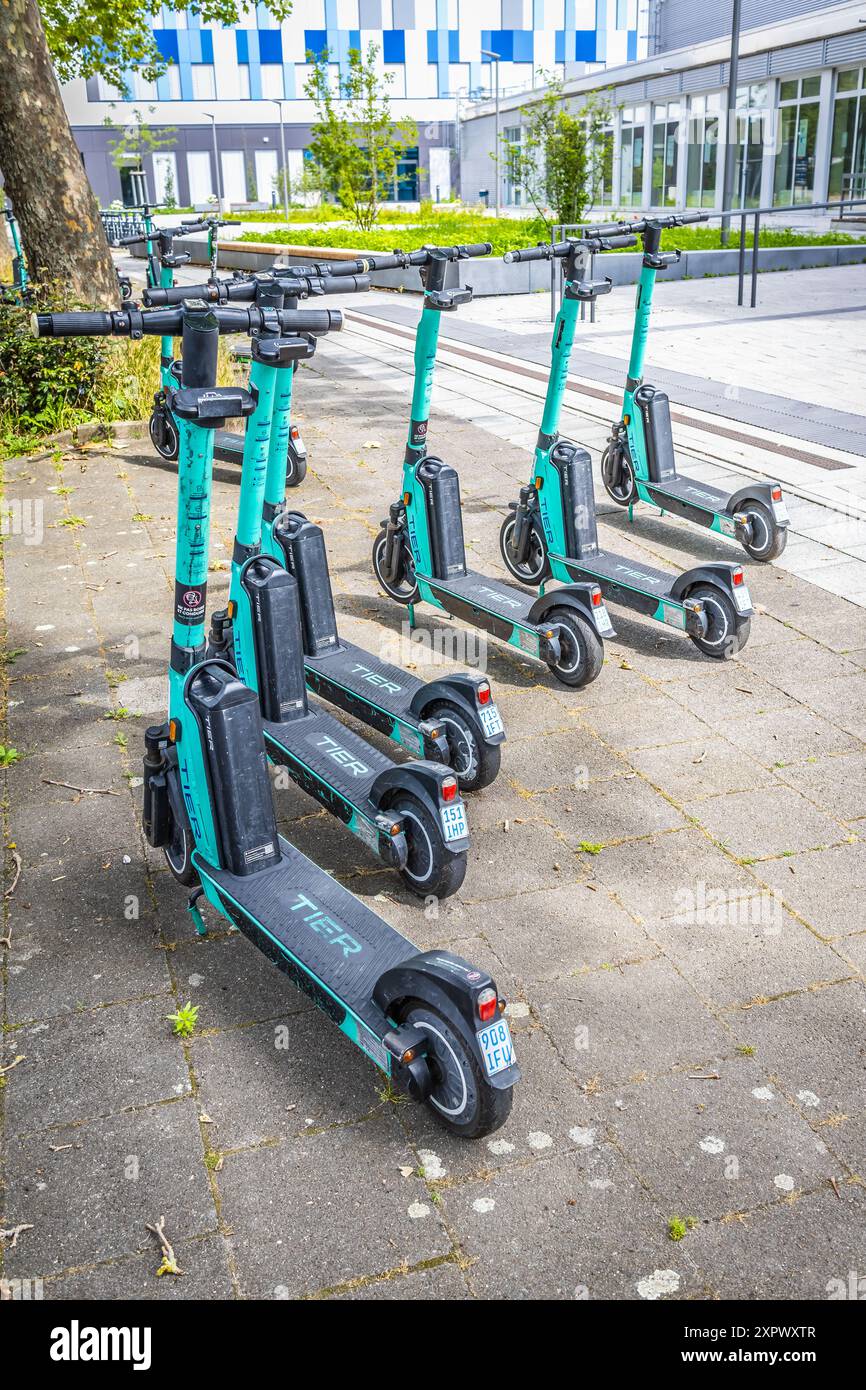 Ludwigshafen, Germania - 29 giugno 2024: Scooter elettrici a noleggio Tier parcheggiati di fronte all'edificio moderno della città, parco pubblico di noleggio Foto Stock