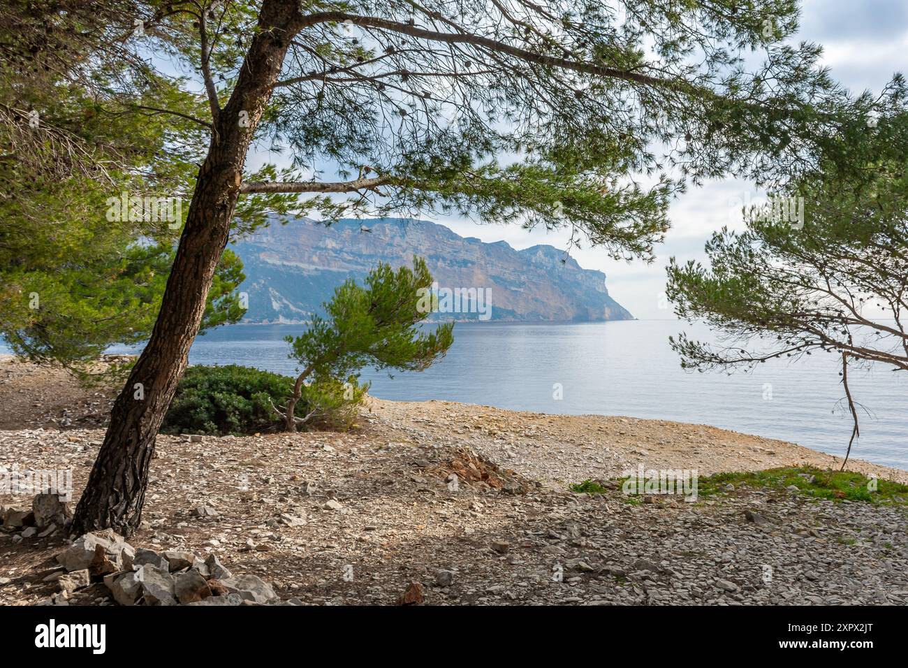 Vista panoramica del promontorio di Cap Canaille da Cassis nel sud della Francia Foto Stock