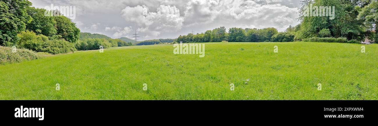 Pascolo verde nel Sauerland, formato panorama, Germania, Renania settentrionale-Vestfalia, Sauerland Foto Stock