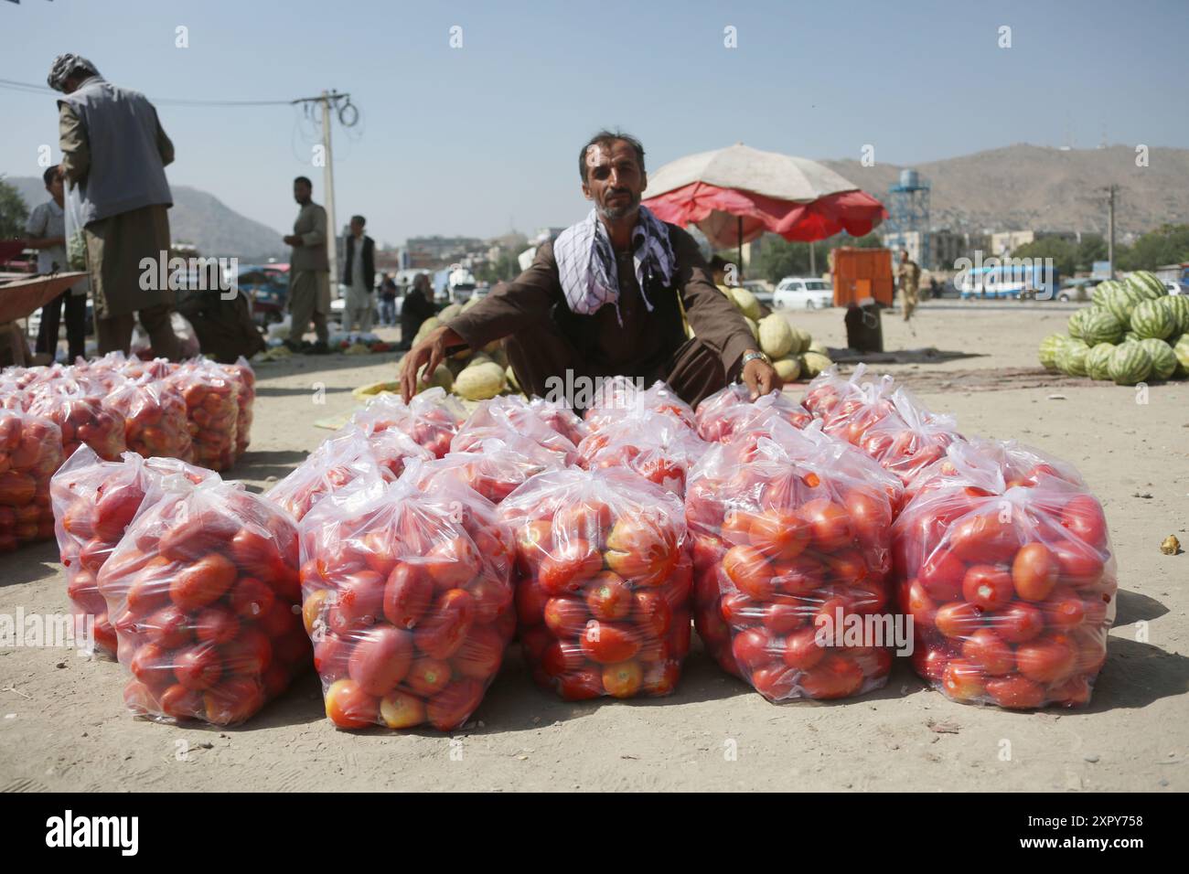 Kabul, Afghanistan. 8 agosto 2024. Un uomo vende pomodori in un mercato a Kabul, la capitale dell'Afghanistan, 8 agosto 2024. Il prodotto interno lordo (PIL) dell'Afghanistan è aumentato del 2,7% su base annua durante l'anno civile persiano del 1402 fino al 19 marzo, i dati dell'autorità nazionale di statistica e informazione (NSIA) del paese hanno mostrato mercoledì. Crediti: Saifurahman Safi/Xinhua/Alamy Live News Foto Stock