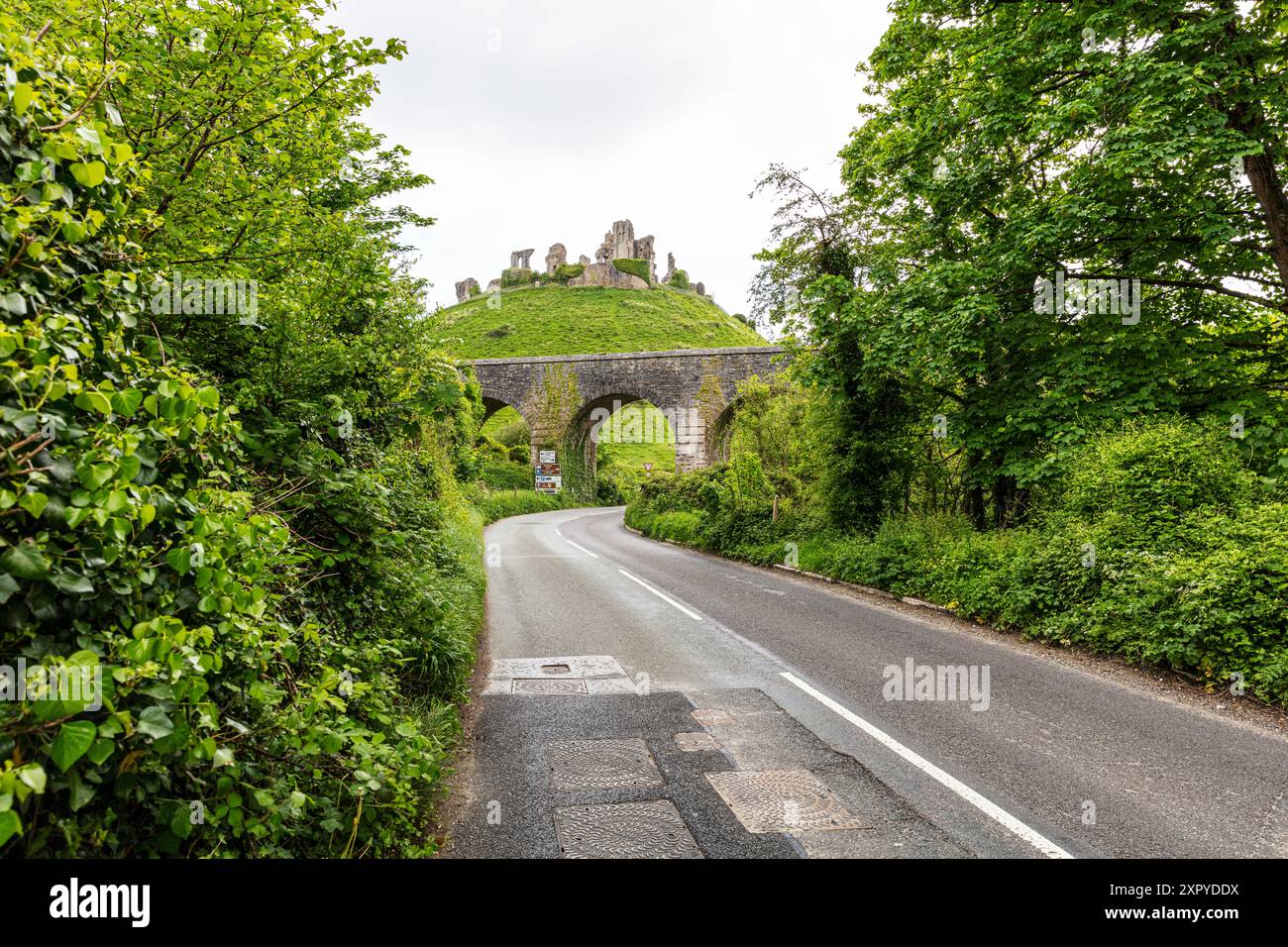 Corfe Castle, Dorset, Inghilterra Corfe Castle è una fortificazione che sorge sopra l'omonimo villaggio sulla penisola di Purbeck nell'Eng Foto Stock