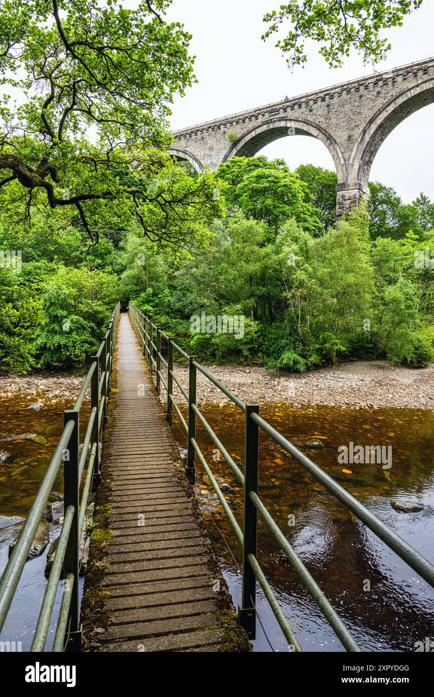 Lambley Viaduct, River South Tyne, Lambley, Northumberland, Inghilterra, Regno Unito Foto Stock