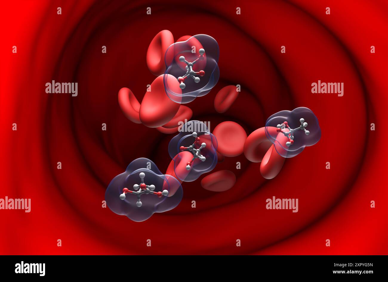 Acido lattico - Vista in sezione illustrazione 3d. Foto Stock