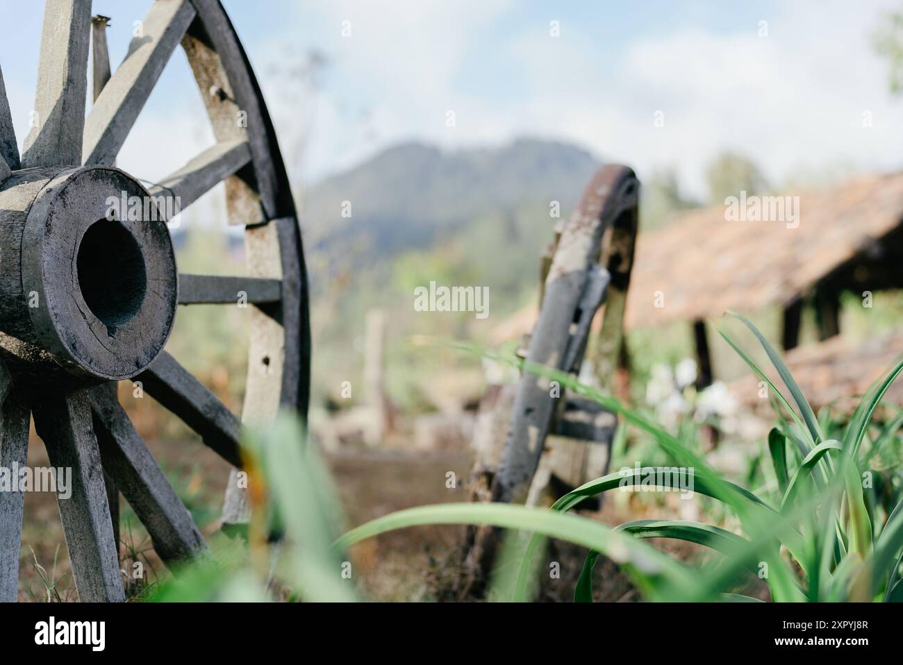 Ruote Di Carro In Legno Ruote di carro antico in legno immagini e fotografie stock ad alta