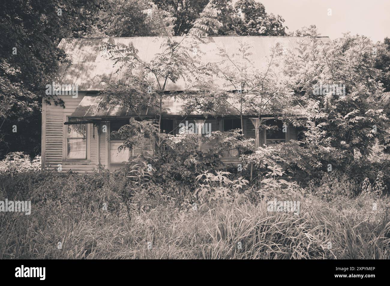 Fattoria abbandonata in piena espansione nel Midwest America con effetto filtro vintage Foto Stock