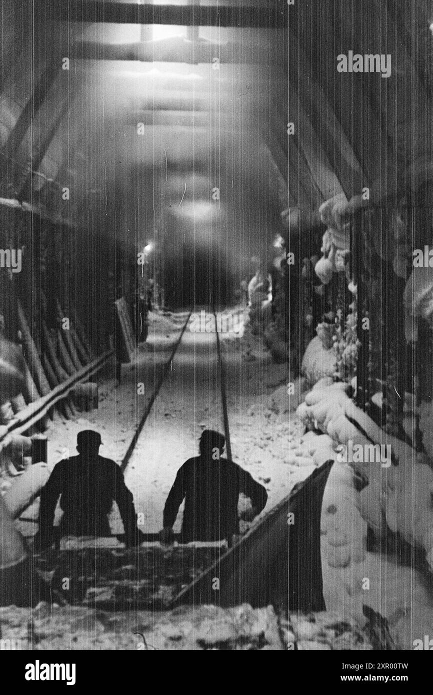 Effettivo 5- 1948: Sgombero della neve sulla ferrovia di Bergen. La ferrovia di Bergen, una delle ferrovie più importanti della Norvegia, raggiunge il suo punto più alto appena ad ovest di Finse, a 1301 metri sul livello del mare. Il vento e la neve all'unisono qui fanno sì che non sia sempre una cosa da tenere aperta questa pista in inverno. Nei luoghi più resistenti alle intemperie della ferrovia di Bergen, ci sono sovrastrutture di neve, in modo che le derive non diventino troppo grandi. Foto: Sverre A. Børretzen / Aktuell / NTB ***la foto non viene elaborata*** il testo dell'immagine viene tradotto automaticamente. il testo dell'immagine viene tradotto automaticamente Foto Stock