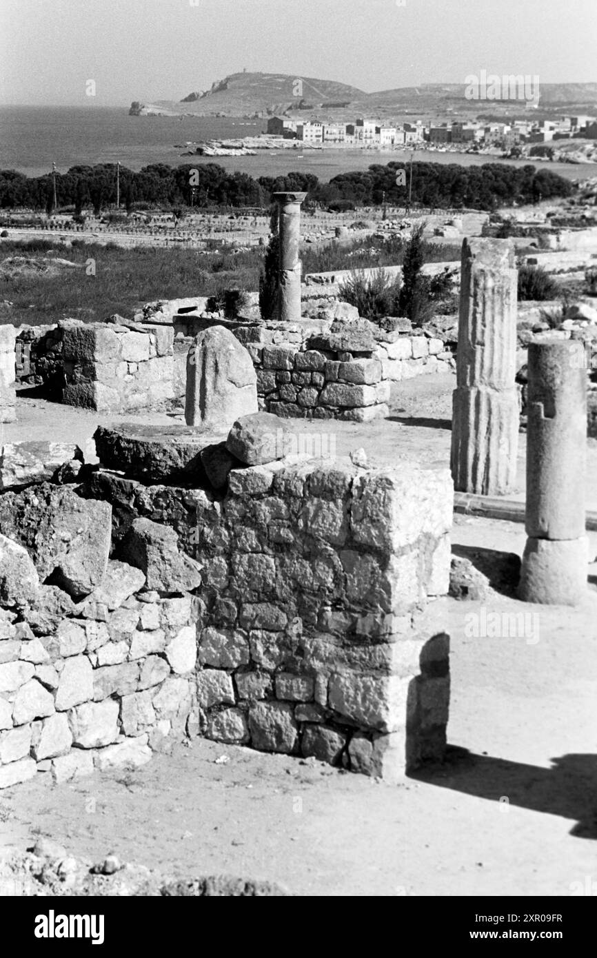 Reste von Mauern und dorischen Säulen zeichnen die Neapolis, den neueren griechisch-iberischen Teil von Empúries, aus, hier befand sich unter anderem das Asklepieion, ein Heiligtum, das Äskulap, dem Gott der Heilkunst, gewidmet War und zu dem üblicherweise ein Sanatorium gehörte, Costa Brava 1957. Resti di mura e colonne doriche caratterizzano la Neapolis, la più recente parte greco-iberica di Empúries, che era il sito che includeva l'Asclepieion, un santuario dedicato ad Asclepio, il dio della guarigione, e che di solito includeva un sanatorio, Costa Brava 1957. Foto Stock