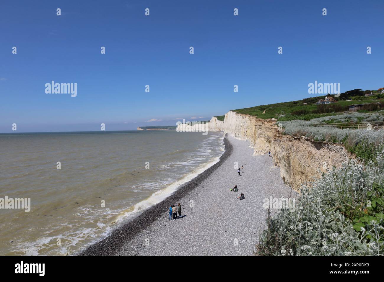 Inghilterra, East Sussex, Birling Gap, Vista lungo la spiaggia di ciottoli con scogliere bianche di gesso Seven Sisters Foto Stock