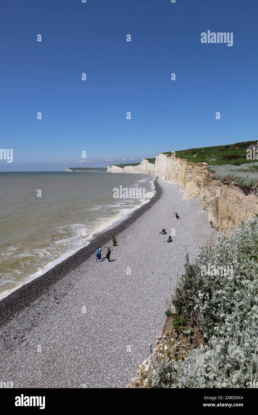 Inghilterra, East Sussex, Birling Gap, Vista lungo la spiaggia di ciottoli con scogliere bianche di gesso Seven Sisters Foto Stock