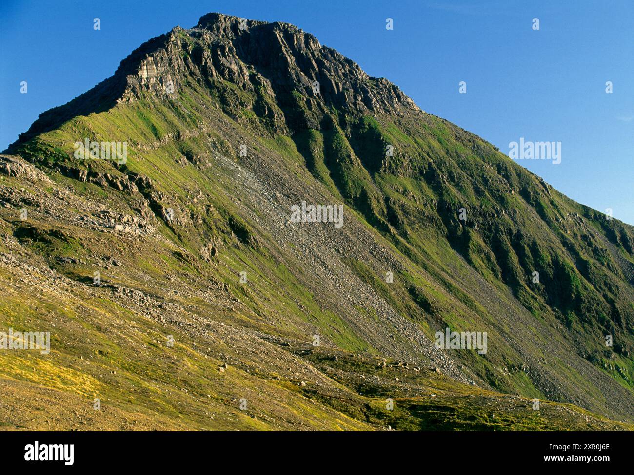 Askival, che mostra le ricche erbe conosciute come "verdi" di berna, riserva naturale nazionale dell'Isola di Rum, Ebridi interne, Scozia, settembre 2004 Foto Stock