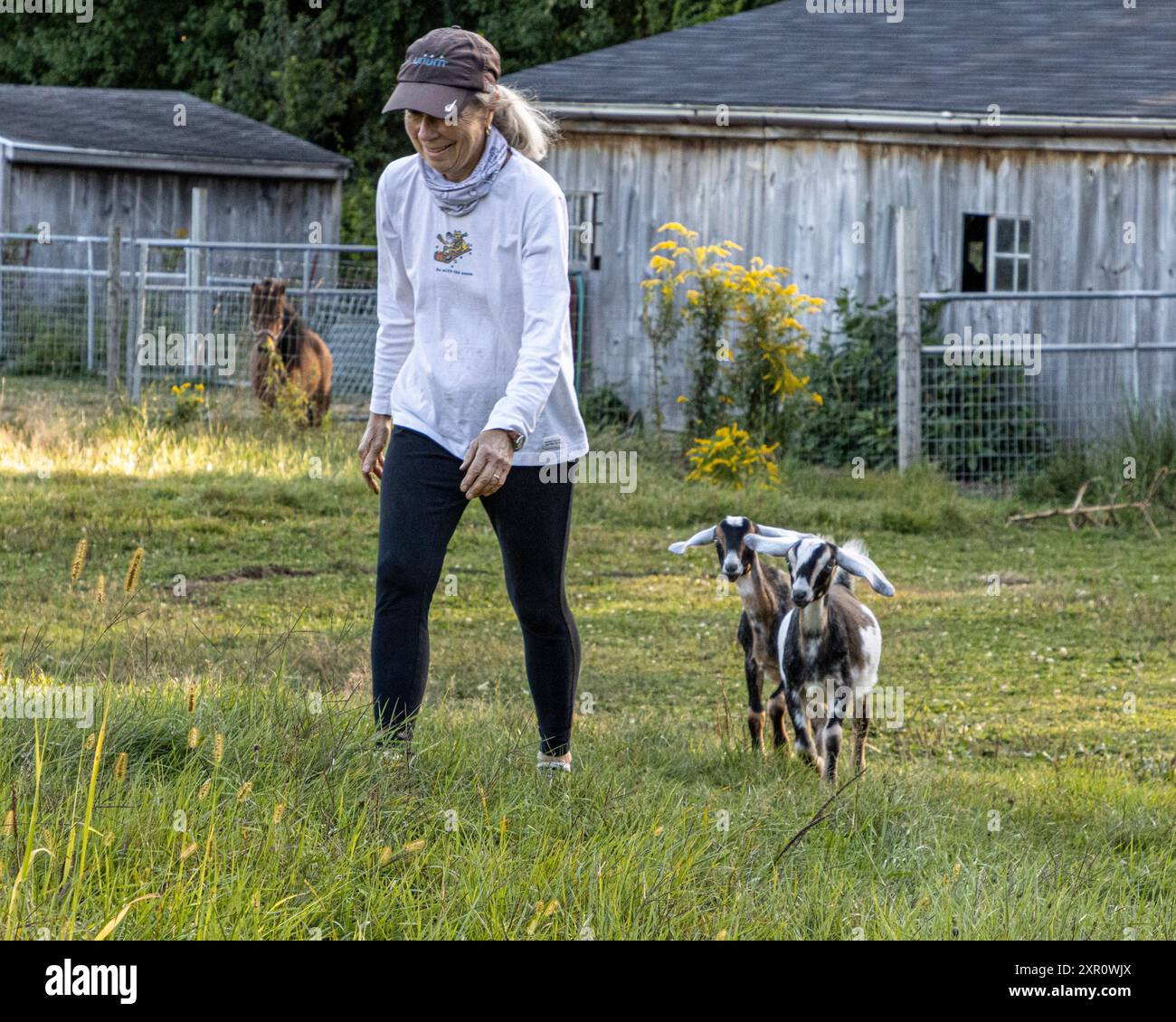 Donna che cammina in un campo con due capre nubiane Foto Stock