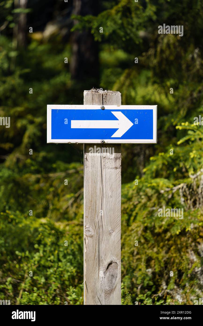Segno blu con una freccia rivolta a destra nel bosco Foto Stock