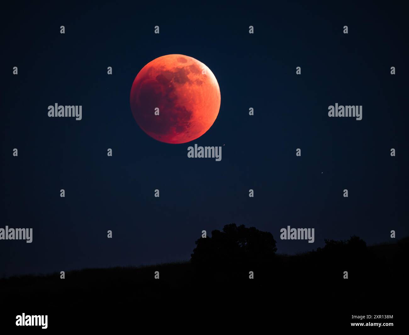 "Super Flower Blood Moon" eclissi lunare totale - 15 maggio 2022 Foto Stock