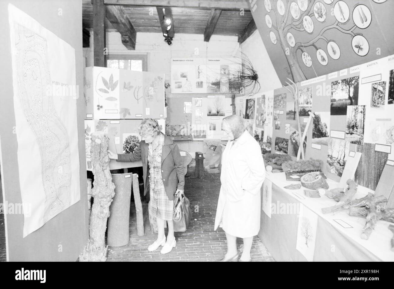 Mostra presso Hout e Public Gardens, giardini pubblici, piante, arbusti, cisterne, 19-07-1978, Whizgle Dutch News: immagini storiche su misura per il futuro. Esplora il passato dei Paesi Bassi con prospettive moderne attraverso le immagini delle agenzie olandesi. Colmare gli eventi di ieri con gli approfondimenti di domani. Intraprendi un viaggio senza tempo con storie che plasmano il nostro futuro. Foto Stock Mostra presso Hout e Public Gardens, giardini pubblici, piante, arbusti, cisterne, 19-07-1978, Whizgle Dutch News: immagini storiche su misura per il futuro. Esplora il passato dei Paesi Bassi con prospettive moderne attraverso le immagini delle agenzie olandesi. Colmare gli eventi di ieri con gli approfondimenti di domani. Intraprendi un viaggio senza tempo con storie che plasmano il nostro futuro. Foto Stock