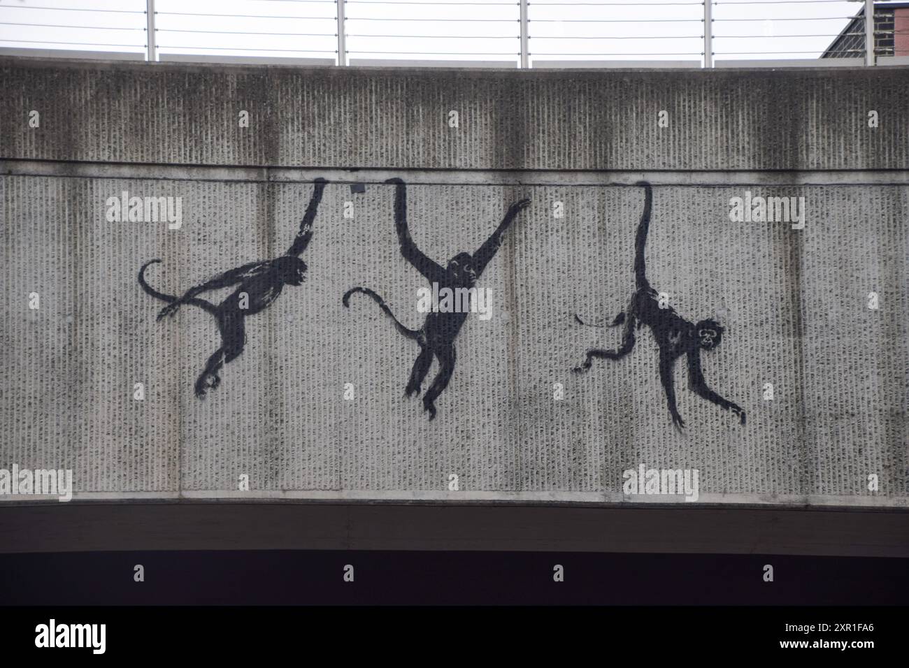 Londra, Regno Unito. 8 agosto 2024. Una nuova opera d'arte, raffigurante tre scimmie, dell'artista di strada Banksy è vista su un ponte a Shoreditch. L'opera è una delle numerose opere d'arte a tema animale che sono state esposte a Londra negli ultimi giorni. Credito: SOPA Images Limited/Alamy Live News Foto Stock