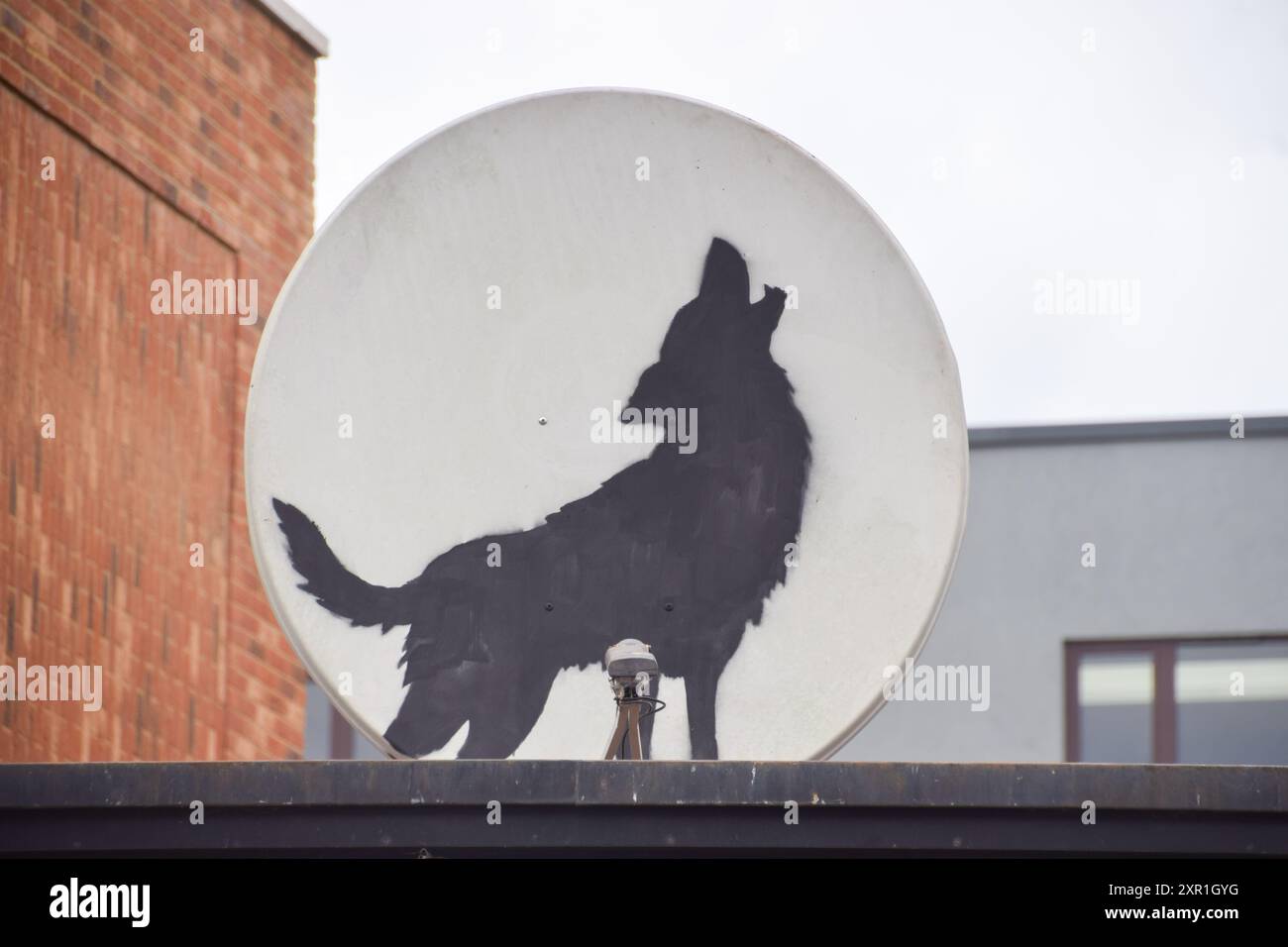 Londra, Regno Unito. 8 agosto 2024. Una nuova opera d'arte dell'artista di strada Banksy è visibile su una parabola satellitare a Peckham, raffigurante un lupo che urla sullo sfondo del piatto che assomiglia a una luna piena. L'opera è una delle numerose opere d'arte a tema animale che sono state esposte a Londra negli ultimi giorni. (Foto di Vuk Valcic/SOPA Images/Sipa USA) credito: SIPA USA/Alamy Live News Foto Stock