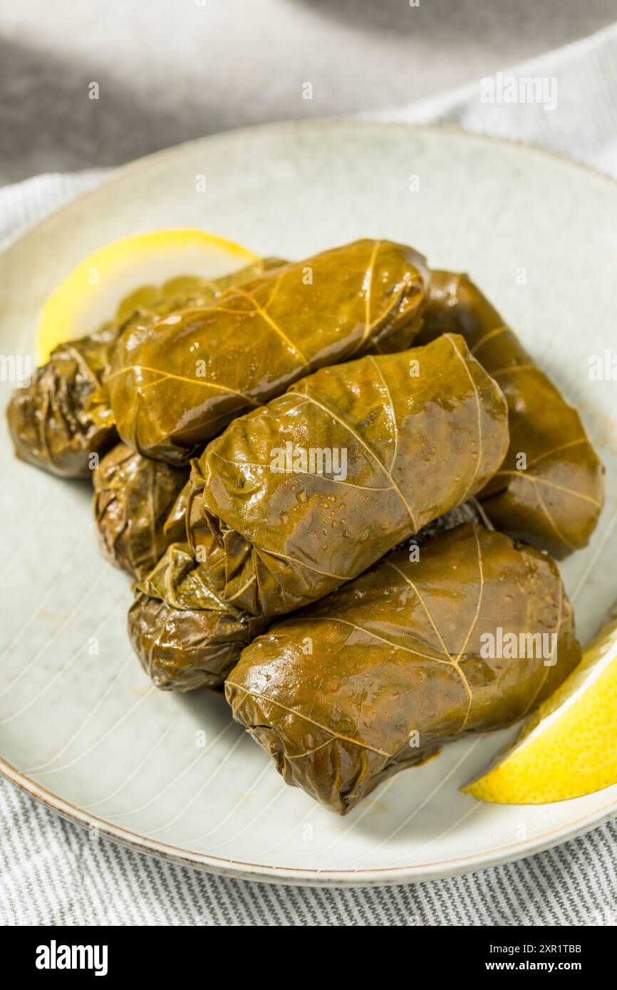 Foglie di uva ripiena greca sana con limone e ripieno Foto Stock