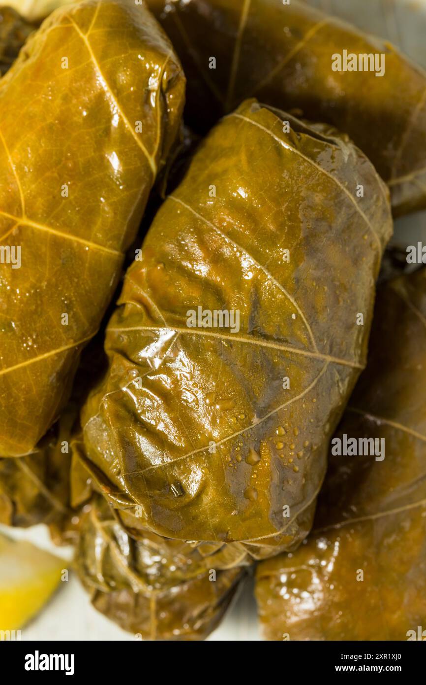 Foglie di uva ripiena greca sana con limone e ripieno Foto Stock