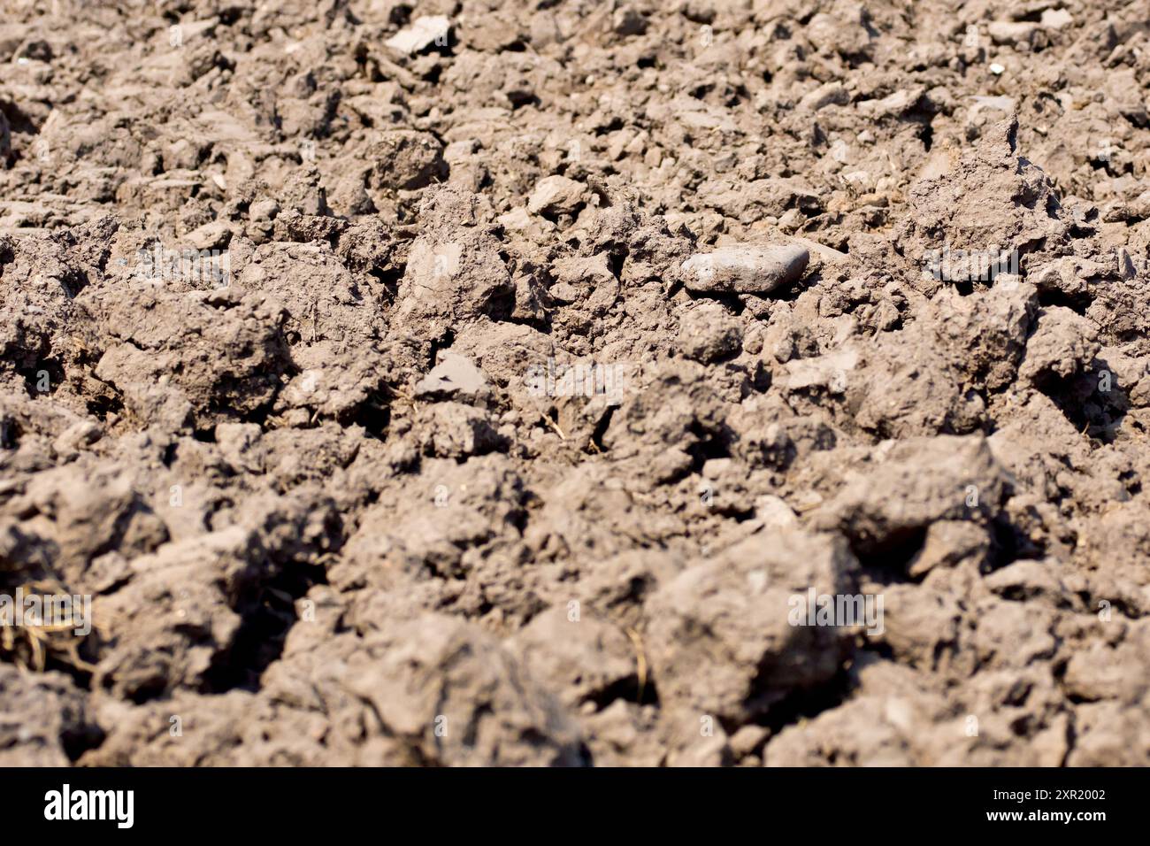 Primo piano della terra ricca e fertile o del terreno agricolo di Angus, sulla costa orientale della Scozia, Regno Unito, che si asciuga e si riscalda durante il sole primaverile. Foto Stock