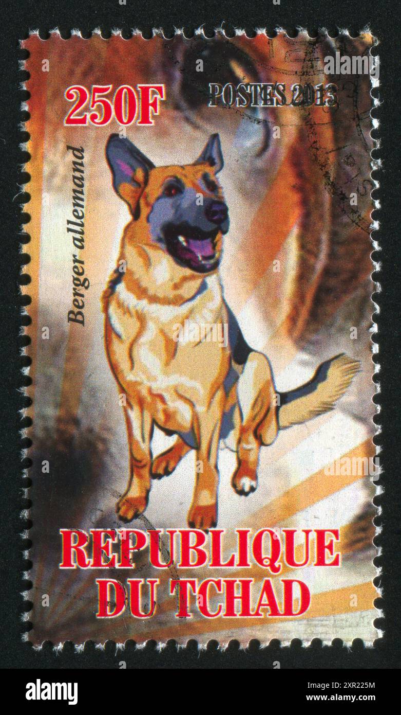 CIAD - CIRCA 2013: Francobollo stampato da Ciad, mostra cane, berger allemand, circa 2013 Foto Stock