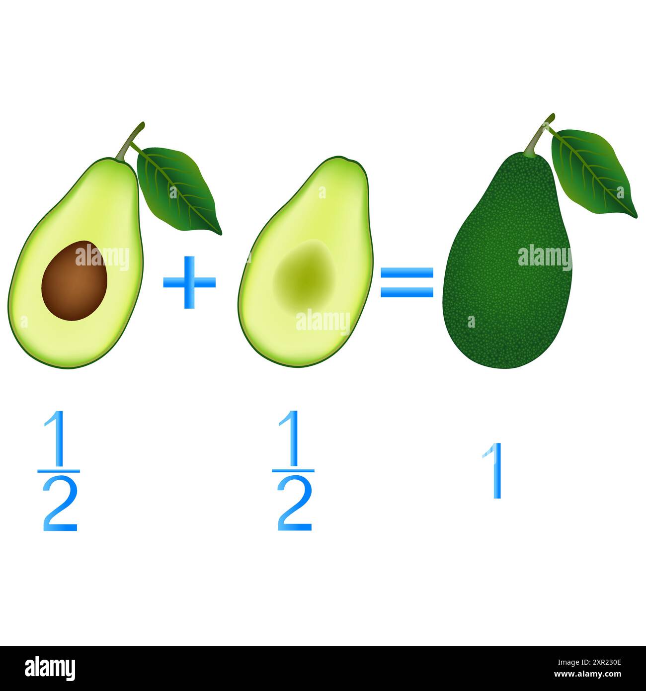 Relazione d'azione di metà addizione, esempi con avocado. Gioco educativo per bambini. Illustrazione Vettoriale