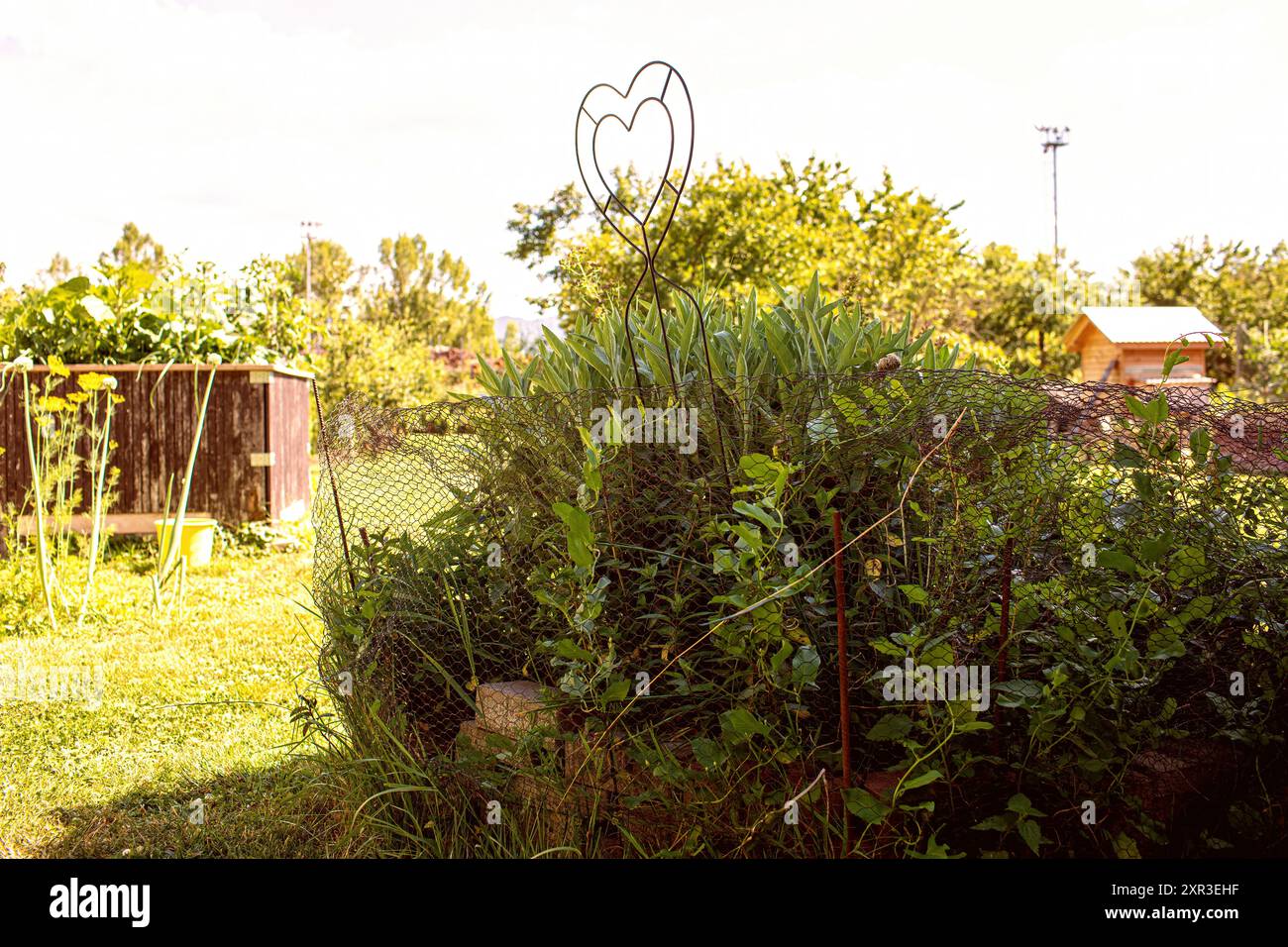 Vista sul giardino nelle giornate di sole d'estate. Foto di alta qualità Foto Stock